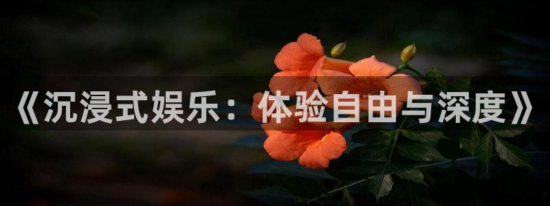杏鑫娱乐：《沉浸式娱乐：体验自由与深度》